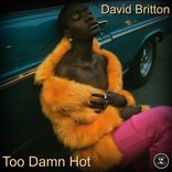 Artwork für "Too Damn Hot"
