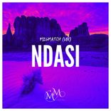 Portada para "Ndasi"