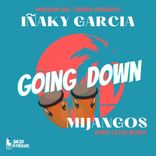 Artwork for "Going Down"