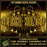Artwork voor "The Visible Sounds EP"
