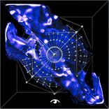 Artwork for "Don't Be Scared"