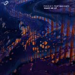 Artwork for "Wake Me Up"