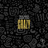 Artwork für "Crazy"