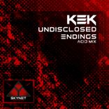 Undisclosed Endings