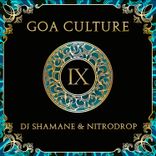 Artwork voor "Goa Culture, Vol. 9"