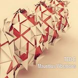 Artwork voor "Mauritius Vibrations"