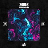 Artwork for "Sonar"