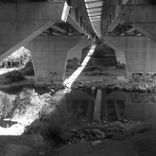 Artwork für "Coherence"