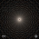 Down The Rabbit Hole