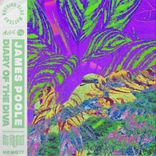 Artwork für "Diary Of The Diva"