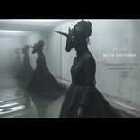 Artwork for "Blvk VnicØrn"