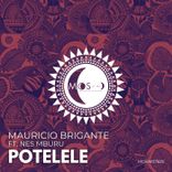 Artwork for "Potelele"
