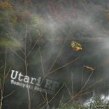 Artwork for "Utari EP"