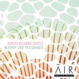 Artwork voor "Bunny Like To Dance"