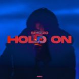 Artwork for "Hold On"