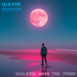 Artwork voor "Walking With The Moon"