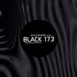 Artwork for "Black 173"