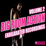 Artwork for "Big Room Action Volume 2"