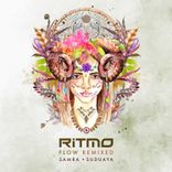 Artwork voor "Flow Remixed"