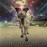 Artwork für "The Camel Jump"