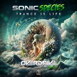 Artwork für "Trance Is Life (Overdrive Remix)"