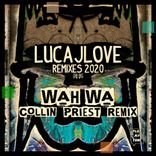 Artwork for "Wah Wa ( Collin Priest Remix )"