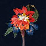 Portada para "Nervous Tics (feat. Holly Walker)"