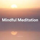 Mindful Meditation