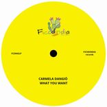 Portada para "What You Want"