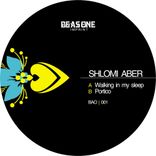 Artwork for "Walking In my Sleep"