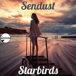 Flying Over The Wave