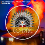 Artwork for "Modular"