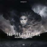 Artwork for "The Sky Is Falling (Radio Mix)"