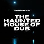 Artwork for "The Haunted House of Dub"