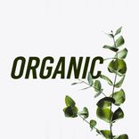 Artwork for "Organic"