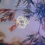 Artwork for "Everynight"