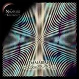 Artwork voor "Hologrammes"