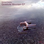 Artwork für "Quaalude Mountain EP"