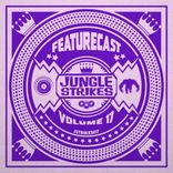 Artwork für "Jungle Strikes, Vol. 17"