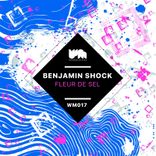 Artwork for "Fleur De Sel"