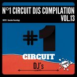 Artwork voor "Nº1 Circuit Djs Compilation Vol.13"