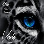 Portada para "Amper"