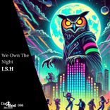 Artwork for "We Own The Night"