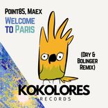 Portada para "Welcome To Paris (Dry & Bolinger Remix)"