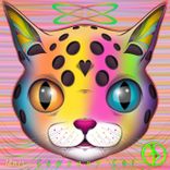 Artwork for "Company Cat"