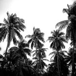 Furachi (Original Mix)