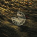 Artwork for "Caminando En Circulos"