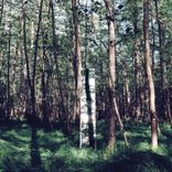 Artwork for "Radio Kodama"