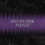 Portada para "Best Big Room Playlist"