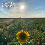 Artwork for "Nothing Matters"